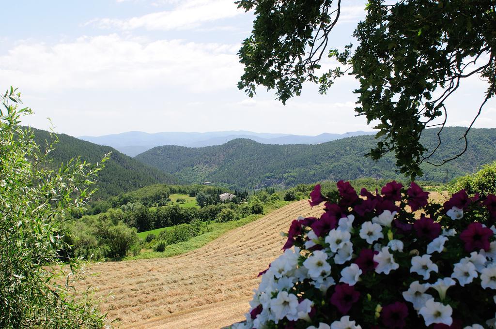 Locanda Del Viandante B&B Anghiari Dış mekan fotoğraf